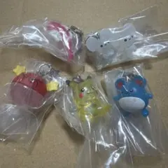 【フルコンプ】 新品未開封 ポケモン めじるしアクセサリー 5種類