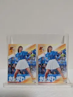 Item thumbnail for item 08f8a8e0-273c-4bfb-afc3-d199e44c9db1