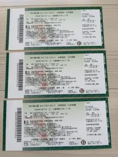 田中達也展　みたてのくみたて チケット3枚セット　10月17日　新潟市新津美術館