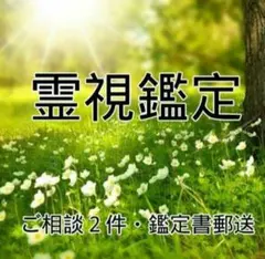 けーちゃん様専用　じっくり霊視鑑定　ご相談2件