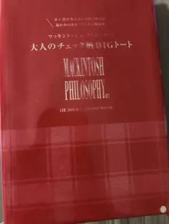 LEE 2026年1・2月合併号 付録 チェック柄 BIGバッグ