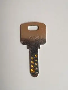 アーケードゲーム　鍵　5575　セガキー 新品未使用品　送料込みのサムネイル