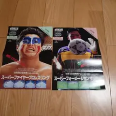 Item thumbnail for item 69942ffa-9803-4865-a76f-e9e36acd2f42