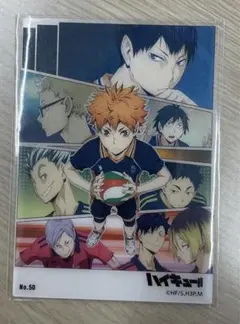 ハイキュー!! ウエハースカード 烏野 音駒 梟谷