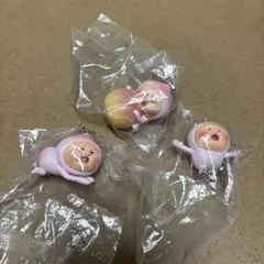 こびとづかん カクレモモジリコレクション　キーホルダー セミコンプセット