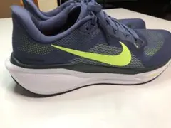 Nike ペガサス41 28.0cm【ナイキ ランニングシューズ 完走セット】
