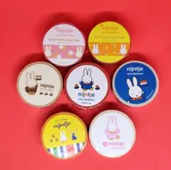 【3】ハウステンボス限定 miffy ミッフィー マスキングテープ マステのサムネイル