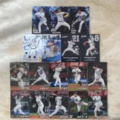 プロ野球チップスカード2025埼玉西武ライオンズ17枚セット