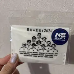 サッカー日本代表 応援グッズ シール 3COINS 44枚セット 即日発送