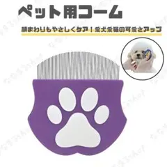 Item thumbnail for item 07082588-9b53-4f2c-8b1e-ae634809d040