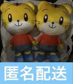 しまじろう キャラクターマスコット 2種セット ナムコ・モーリー