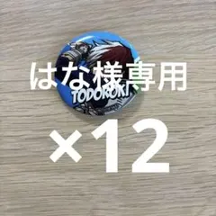 【専用】轟焦凍 僕のヒーローアカデミア 缶バッジ まとめ売り 12個