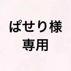 ぱせり様専用ページ