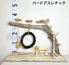 Item thumbnail for item 143a80cb-5616-40b2-8a99-d1198d8646b2