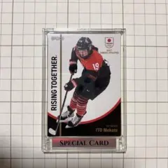 Item thumbnail for item 33cd4c8d-0252-4f7a-93be-25257d0e9d63