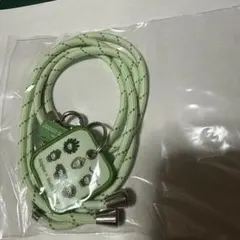 Item thumbnail for item c40bf032-1e2e-489d-9c2d-de94d5b2cb51