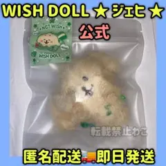 nct wish Pocket wish doll ジェヒ デントリバー　公式