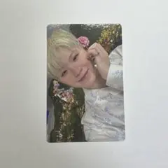 SEVENTEEN ウジ トレカ