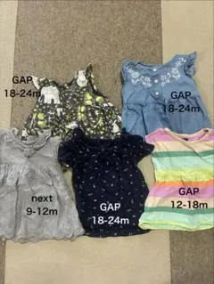 GAP・nextセット