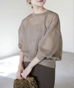 新品タグ付き　SLOBE IENA シアーニットプルオーバー ベージュ Fのサムネイル