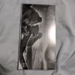 Item thumbnail for item c5c22933-8654-49d5-ae20-de2cbb3a4517