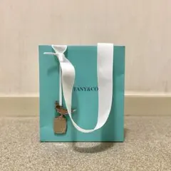 【限定】Tiffanyショッパー/紙袋/バードオンアロックチャーム付き【希少品】