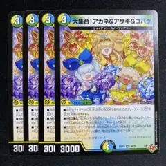 大集合！アカネ&アサギ&コハク　4枚