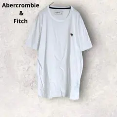 アバクロンビー＆フィッチ　半袖Tシャツ　透け感　白T シンプル　無地　L 綿混