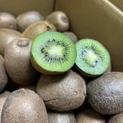 114訳あり‼️キウイフルーツ　傷あり　3キロ以上