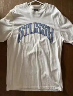 Stüssy✨】ステューシー ストロベリーTシャツ ホワイト Lストリート 