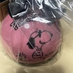 あやこっち様専用スヌーピー クリップ