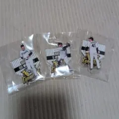 Item thumbnail for item 15961b67-b2a3-44cb-893c-15d4c2fbbb3f