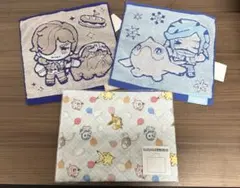 ポケモン レッスンバック手作りキットとタオル2枚セット