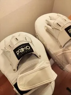 Item thumbnail for item c0ec22cc-1cdf-4de0-b899-b2ddc569e63d