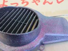 AF09 ファーンカバーフレーク入りのサムネイル