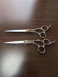 Item thumbnail for item cbab752a-330e-4fce-98a7-fc3c8de40d86