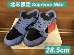 28.5cm Supreme × Nike SB Dunk Low 北米