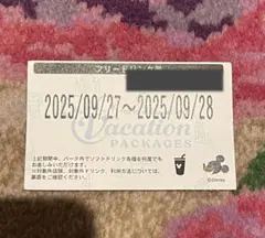 東京ディズニーリゾート　バケパ　フリードリンク券　9月28日