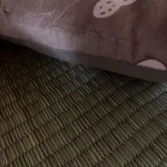 Item thumbnail for item 6f4e5257-82be-4210-9666-1946a6d484b6