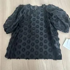 ブラック 花模様 パフスリーブシースルーブラウス