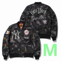 Item thumbnail for item 7c5dbfea-062e-4af1-801a-41f3c56e0bc5