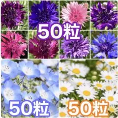 かぼ様 リクエスト 3点 まとめ商品