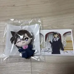 名探偵コナンセガラッキーくじC賞D賞 アクリルパズルぬいぐるみマスコット毛利蘭