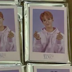 SEVENTEEN FANMEETING LOVE 缶バッジ DK 1枚2️⃣