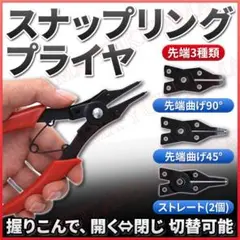 Item thumbnail for item 8bb7ac0c-5f0f-44cb-b0c9-da35ca51e5ba