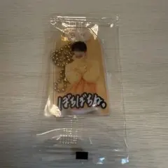 SnowMan お守りキーホルダー(向井康二)