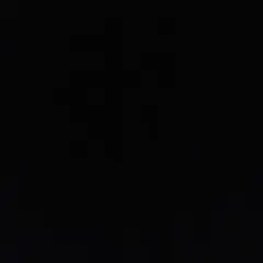 ちゃぼん様専用