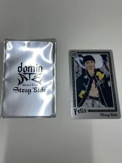[匿名配送]StrayKids フィリックス ランダムライブフォトカード