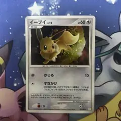 2025年最新】ポケモンカードゲーム コレクションファイル イーブイズの