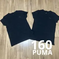 Tシャツ　シャツ160